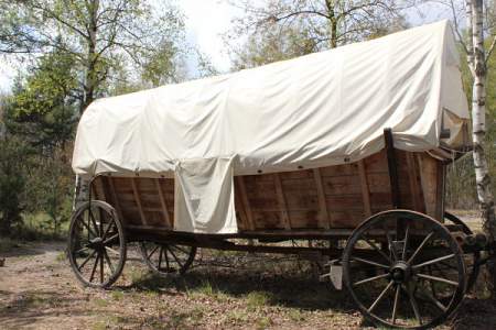 Bild "das Gelände:005_010_Planwagen.jpg"