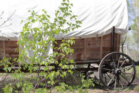 Bild "das Gelände:005_011_Planwagen.jpg"