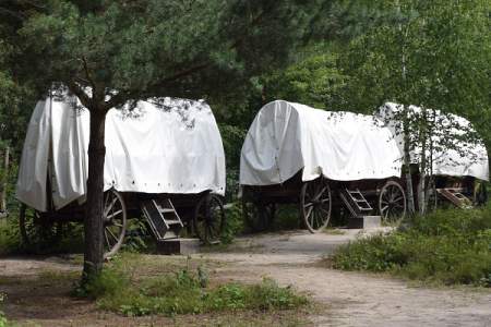 Bild "Ferienangebote und Klassenfahrten :005_018_Planwagen.jpg"