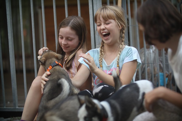 Bild "Ferienangebote und Klassenfahrten :Pauline_K._Leona_-_Welpen.JPG"