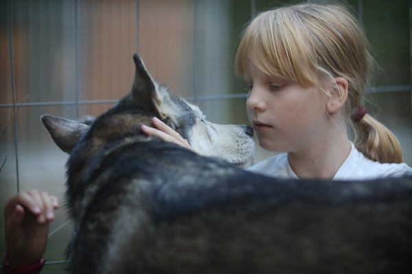 Bild "Ferienangebote und Klassenfahrten :Yara_-_Beschnuppern.JPG"